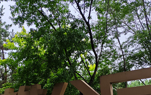 沈阳人事代理服务:简化人力资源管理的秘诀 沈阳人事代理服务:简化人力资源管理的秘诀