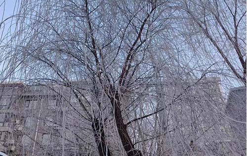 沈阳劳务派遣公司:解析劳务派遣的优势,助您明智选择